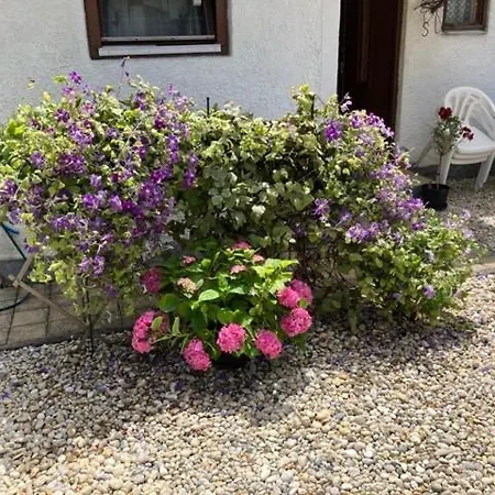 Zsuzsa Vendégháza Apartamento Balatonfüred