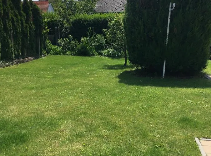 Zsuzsa Vendeghaza Daire